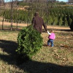 taking our tree home - photo by: angela nichols