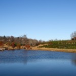 kinsey family farms - photo by: ryan sterritt