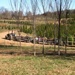 tractor rides - photo by: ryan sterritt