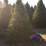 under the tree - photo by: angela nichols