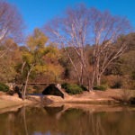 bridge - photo by: ryan sterritt