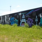 living walls: swampy & gaia & greg mike - photo by: ryan sterritt