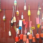 buoys - photo by: ryan sterritt