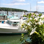 dockside window box - photo by: ryan sterritt