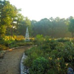 morning garden - photo by: ryan sterritt