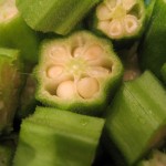 okra up close - photo by: ryan sterritt