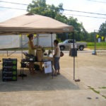 peach vendor - photo by: ryan sterritt