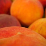 local peaches from market - photo by: ryan sterritt