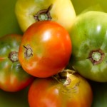 bowl of tomatoes - photo by: ryan sterritt