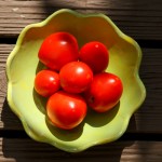 bowl of ripe tomatoes - photo by: ryan sterritt