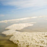 mild sea foam - photo by: ryan sterritt
