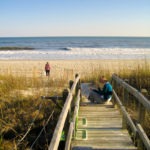 shell searching - photo by: ryan sterritt