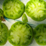 sliced green tomatoes - photo by: ryan sterritt