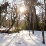 early morning snow - photo by: ryan sterritt