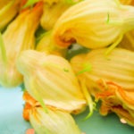 squash blossoms from our garden - photo by: ryan sterritt