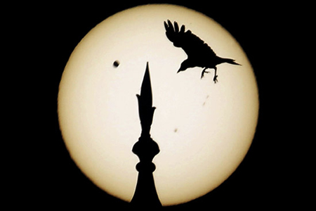 a bird comes in to land atop one of the domes of the landmark taj mahal as venus, top left, begins to pass in front of the sun, as visible from agra, india, June 6, 2012. (ap photo/kevin frayer)