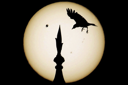 a bird comes in to land atop one of the domes of the landmark taj mahal as venus, top left, begins to pass in front of the sun, as visible from agra, india, June 6, 2012. (ap photo/kevin frayer)