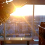 sunset palm - photo by: ryan sterritt