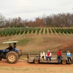 tractor ride - photo by: ryan sterritt